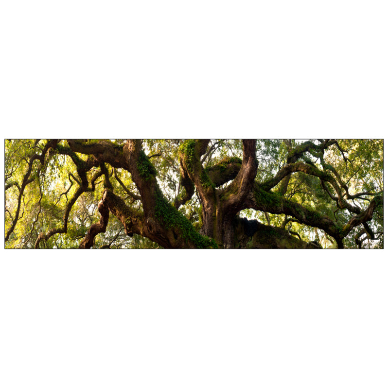 Badrückwand nach maß