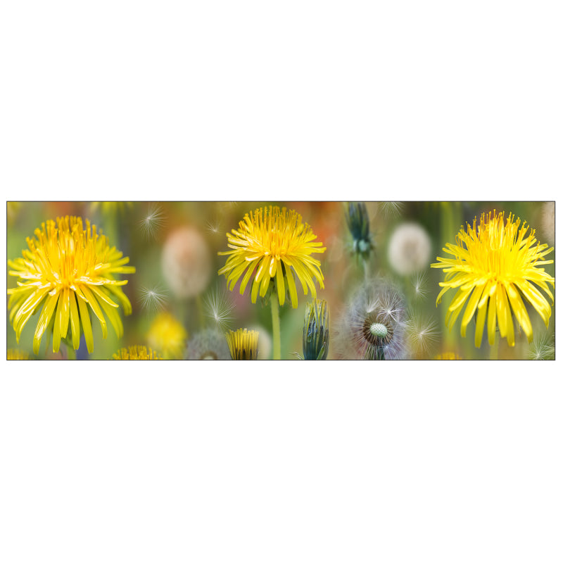 Badrückwand nach maß