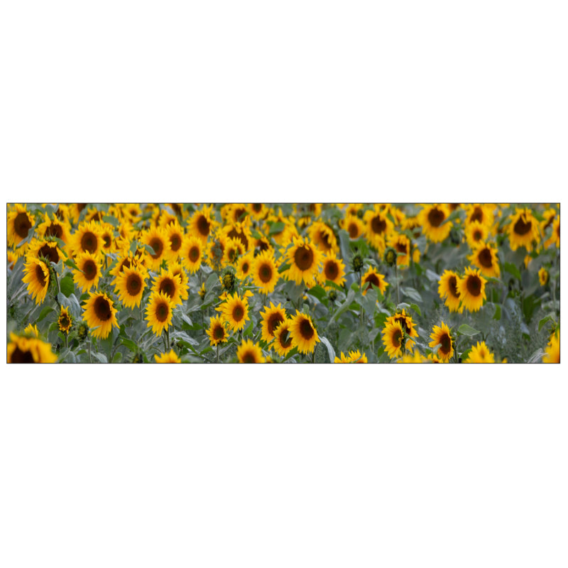 Badrückwand nach maß