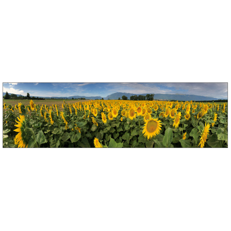 Badrückwand nach maß