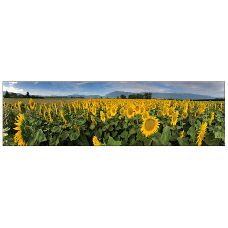 Badrückwand nach maß