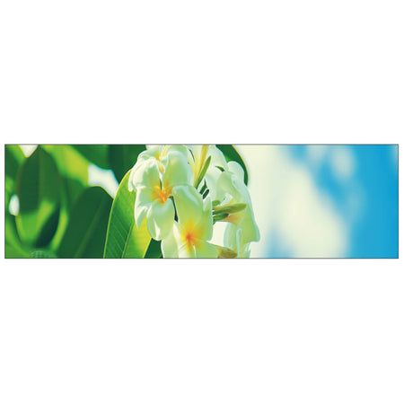 Badrückwand nach maß