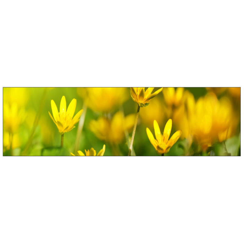 Badrückwand nach maß