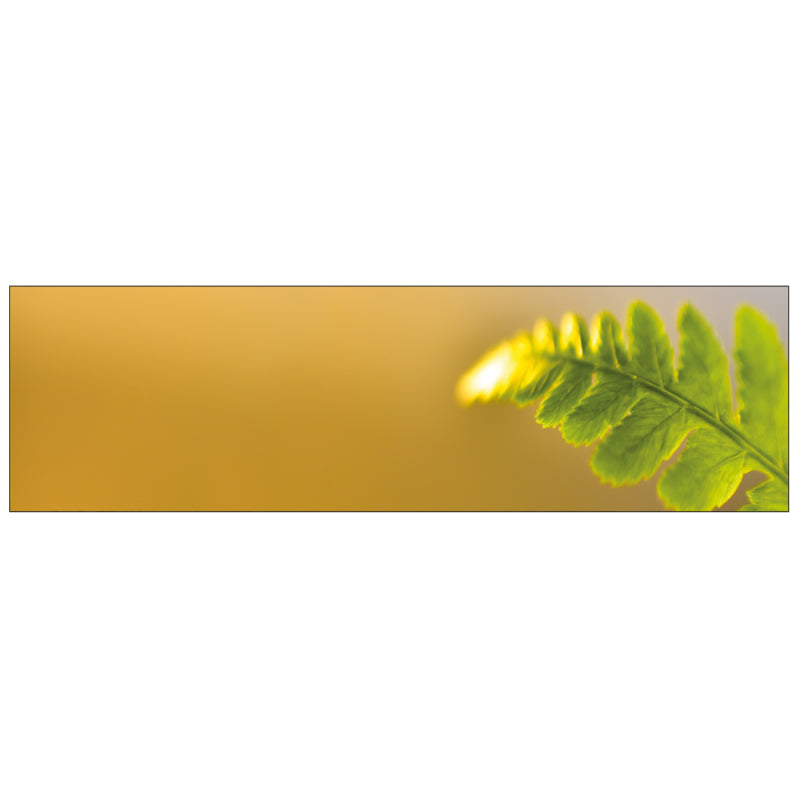 Badrückwand nach maß