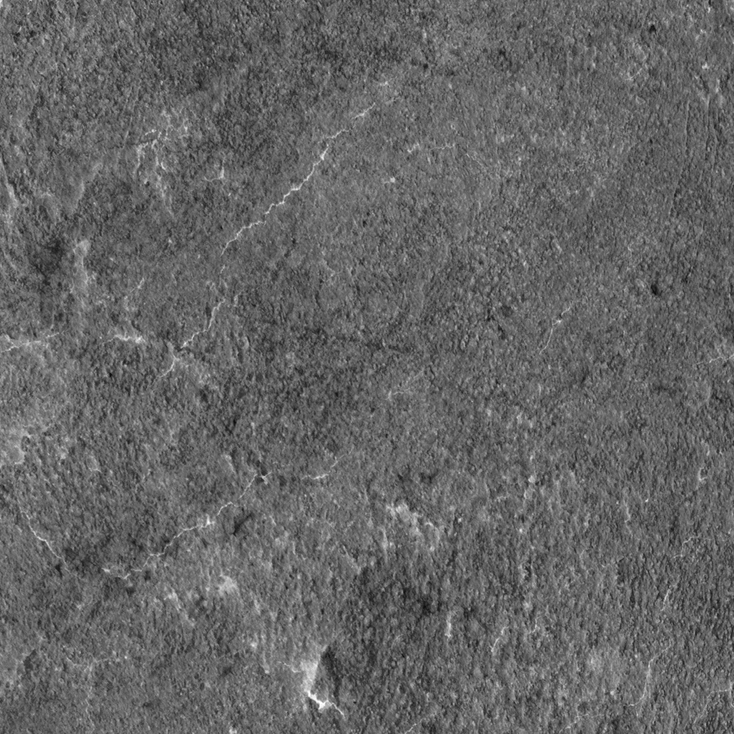 Duschrückwand Betonoptik