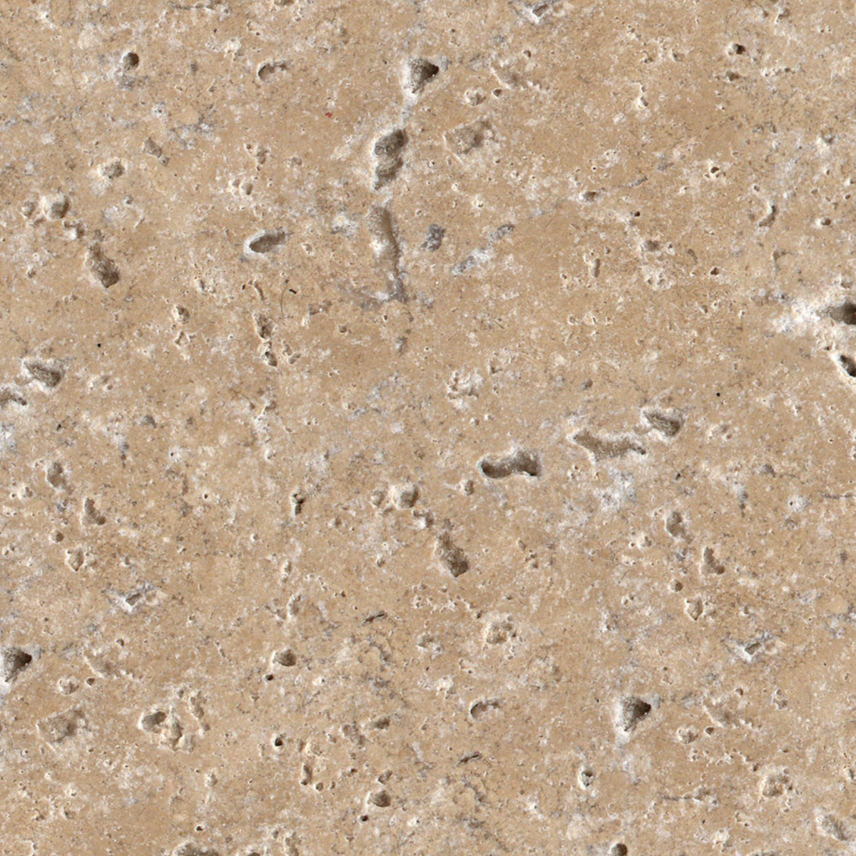 Duschrückwand Betonoptik