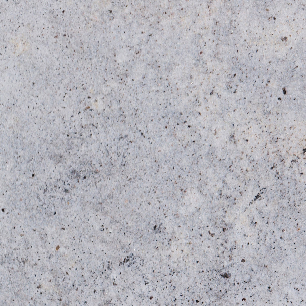 Duschrückwand Betonoptik