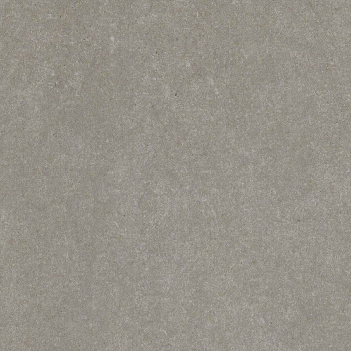 Toilettenrückwand Betonoptik