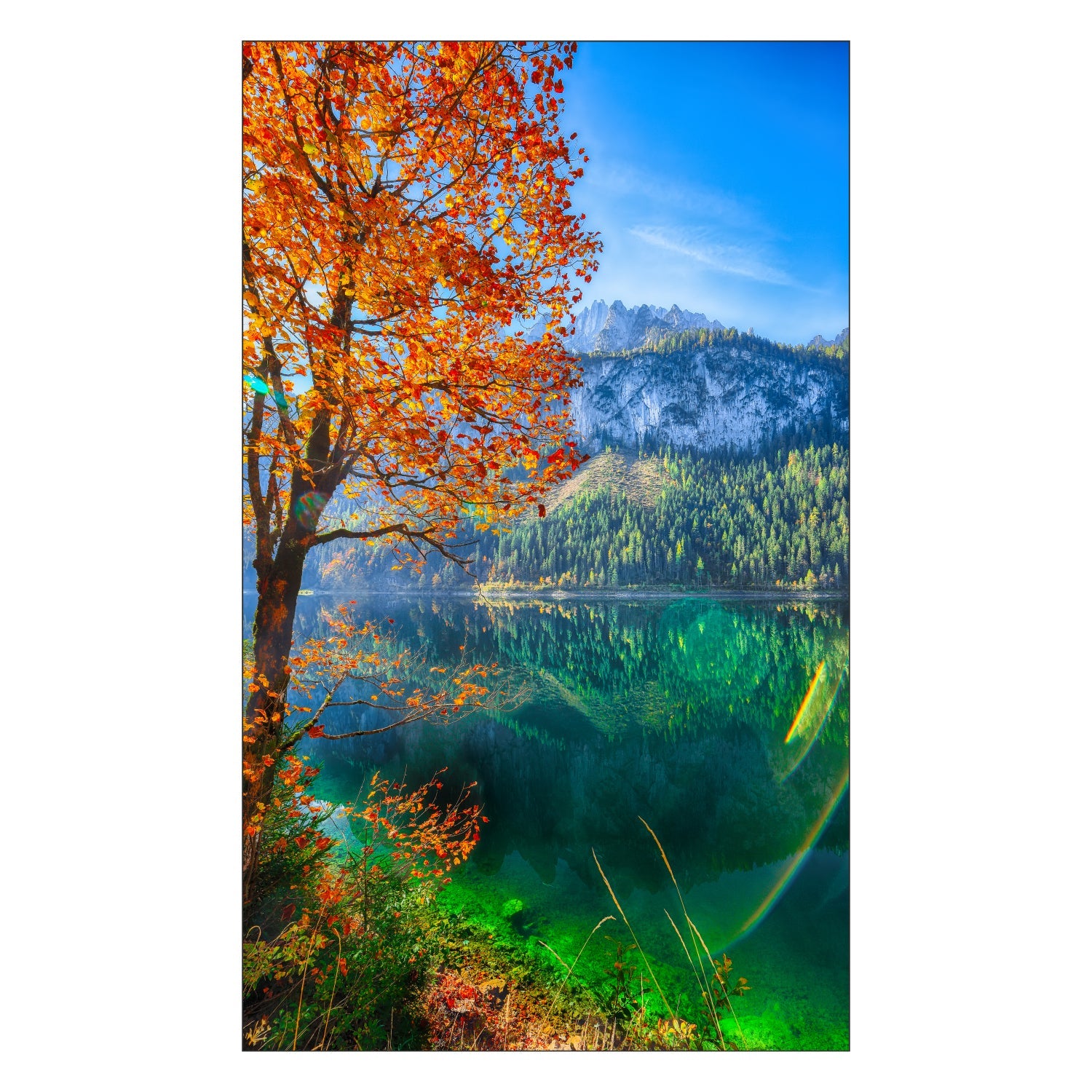 Toilettenrückwand nach maß