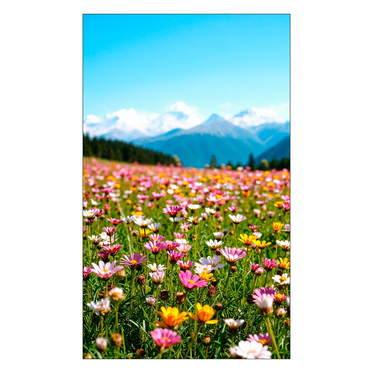 Duschrückwand nach maß