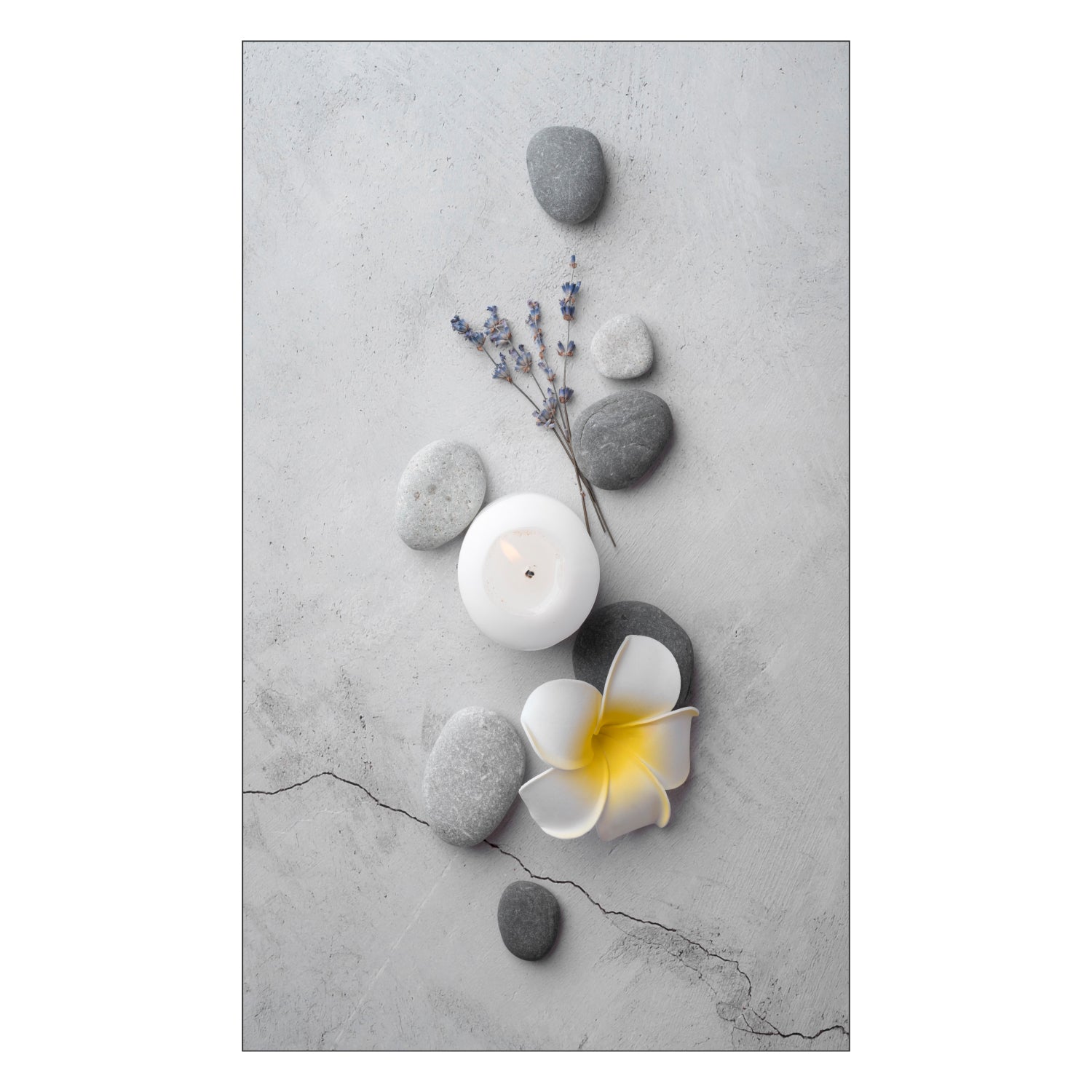 Toilettenrückwand nach maß