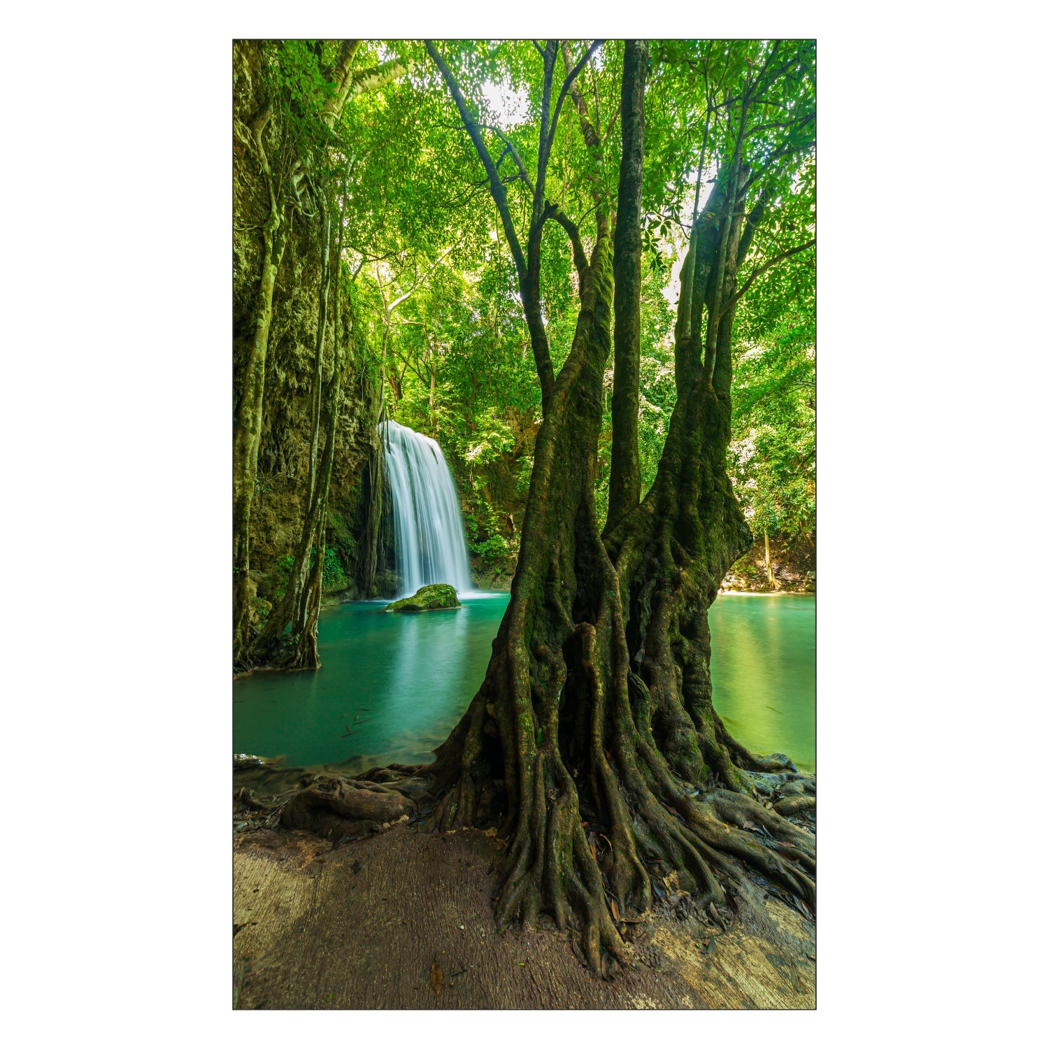 Toilettenrückwand nach maß