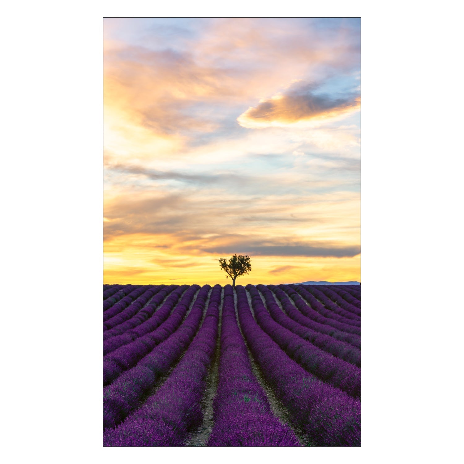 Toilettenrückwand nach maß