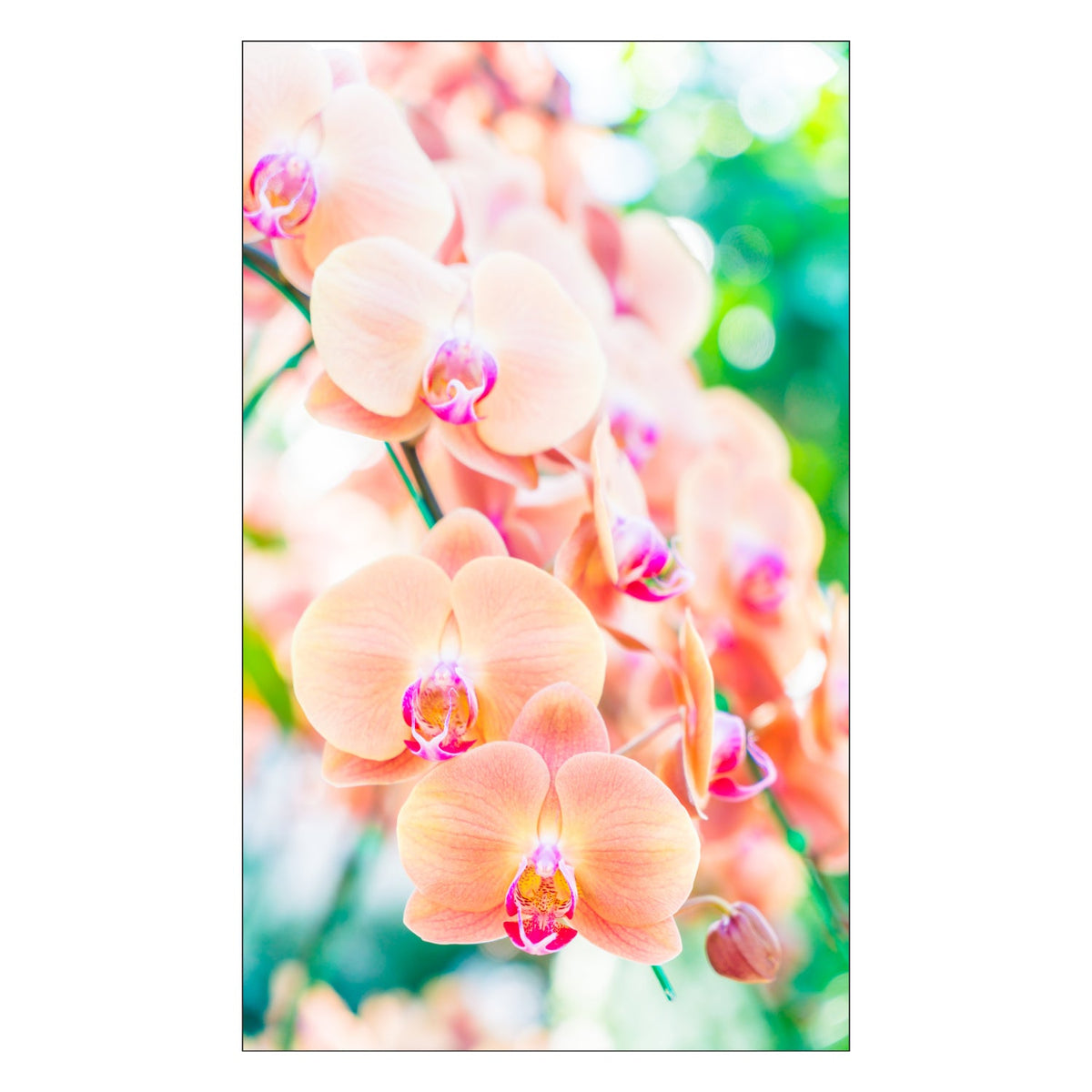 Toilettenrückwand nach maß