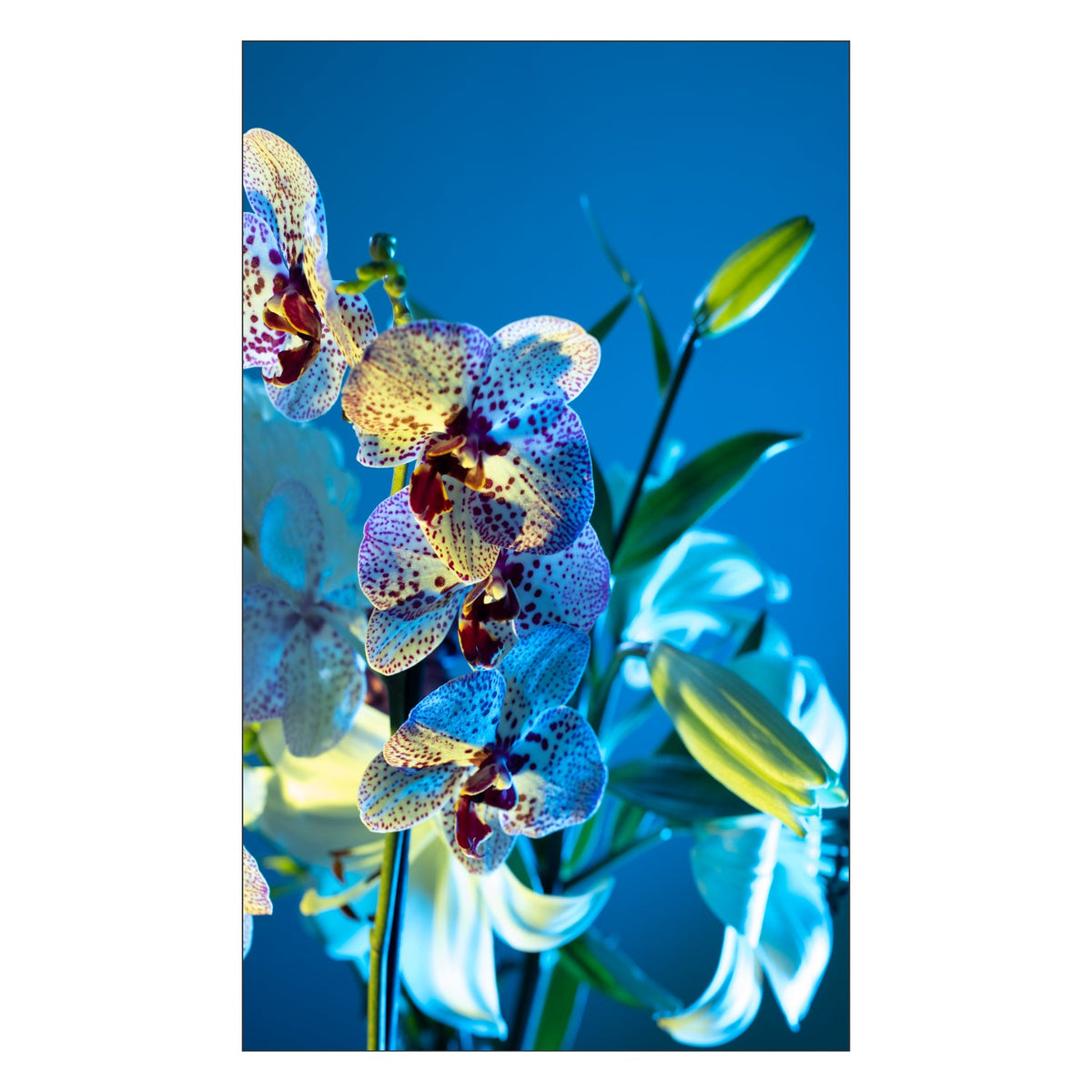 Toilettenrückwand nach maß