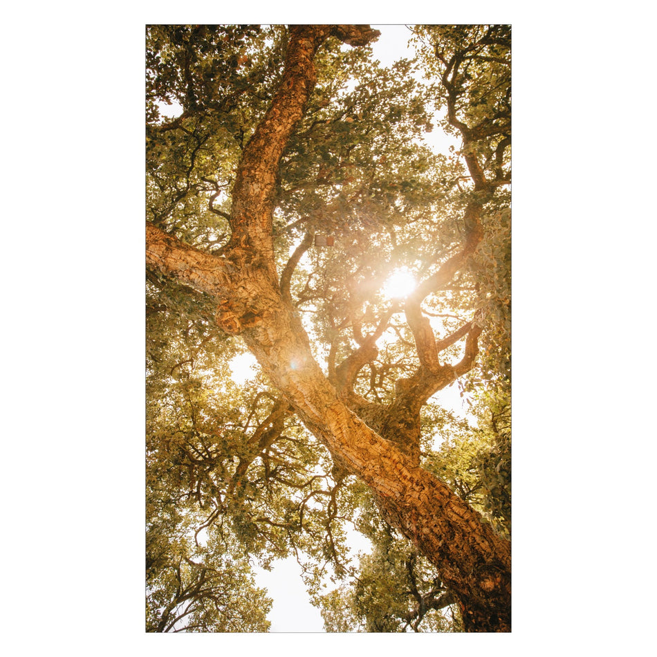 Toilettenrückwand nach maß