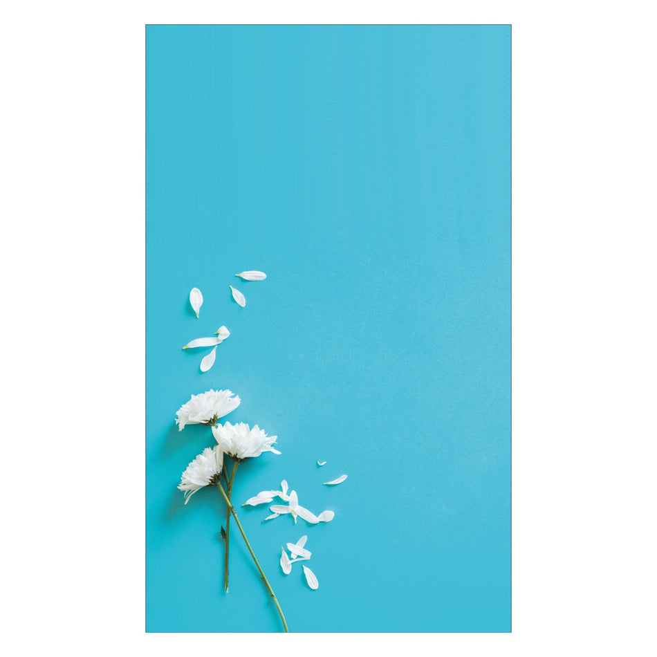 Duschrückwand nach maß