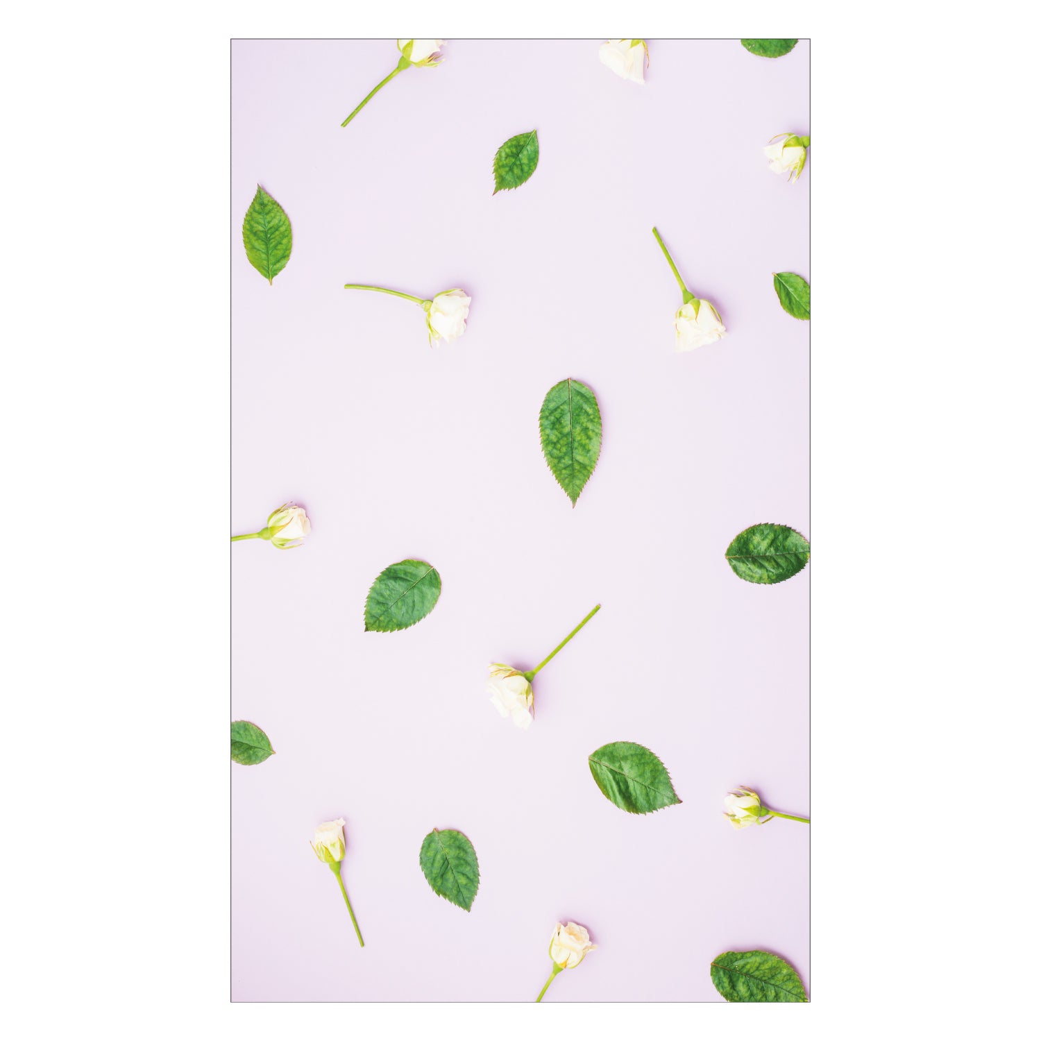 Duschrückwand nach maß