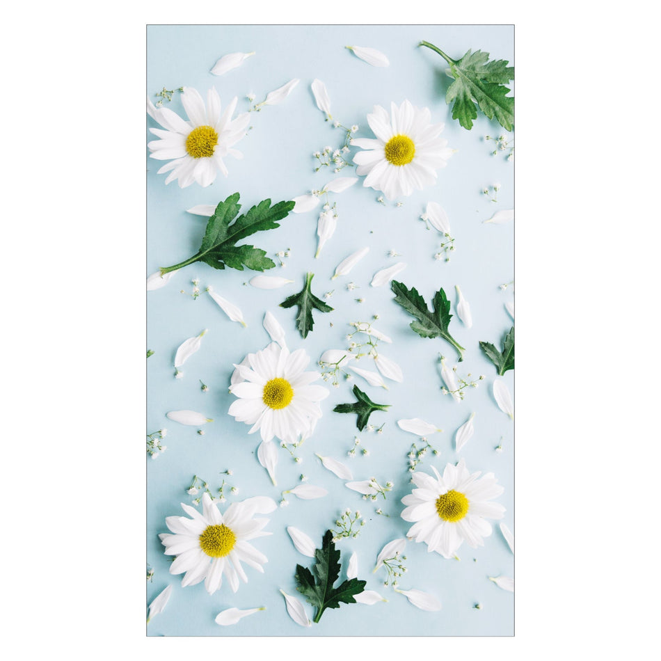 Toilettenrückwand nach maß