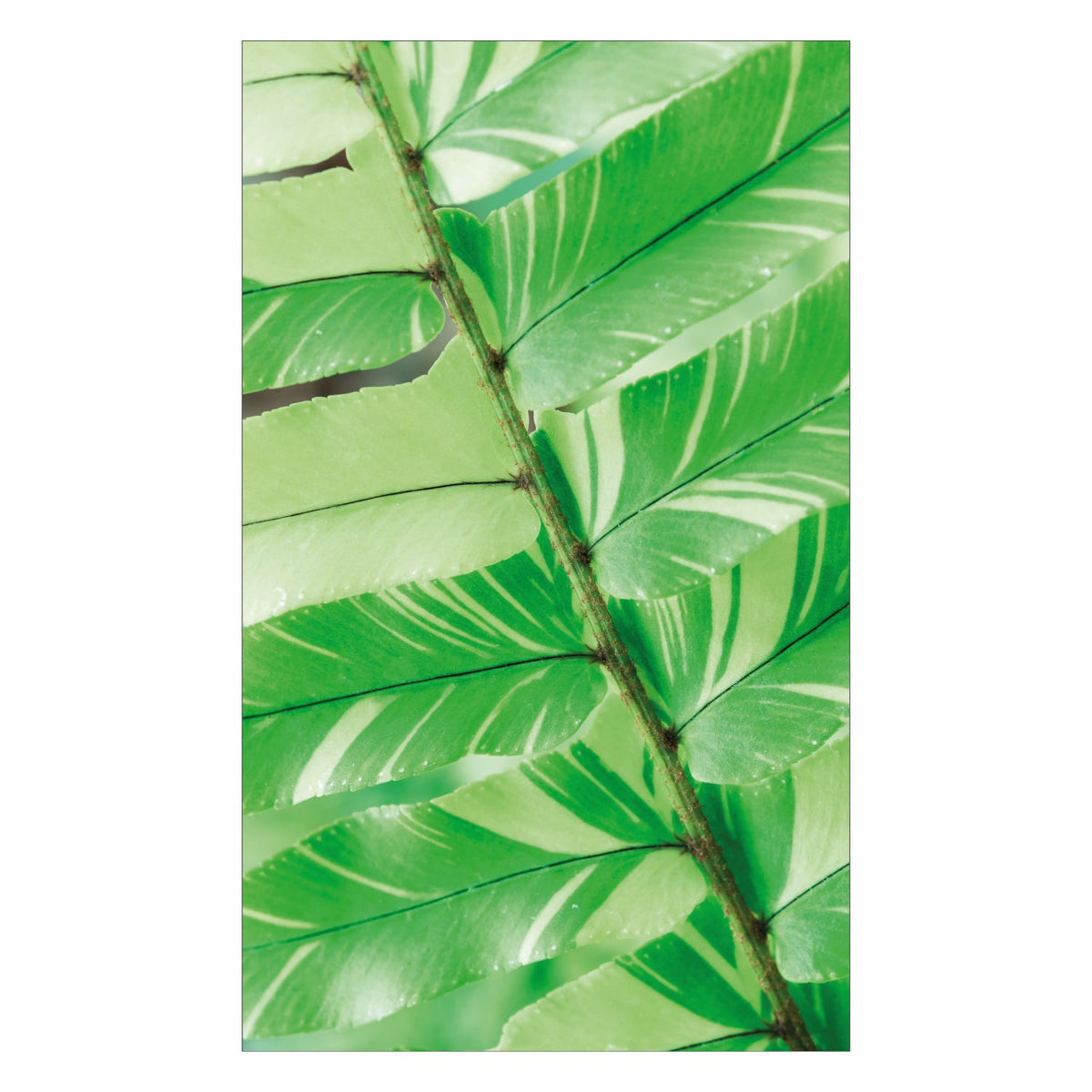 Duschrückwand nach maß