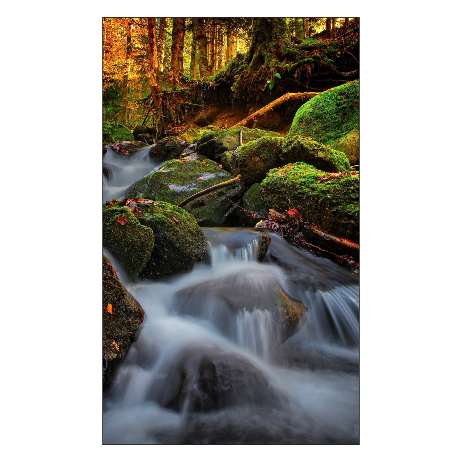 Toilettenrückwand nach maß