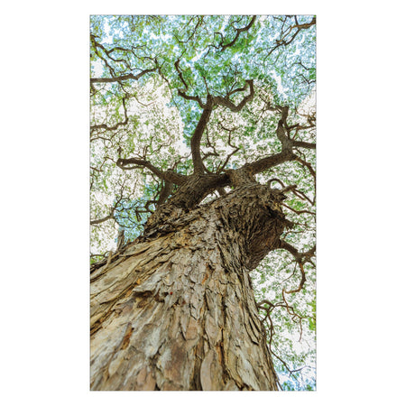 Duschrückwand nach maß