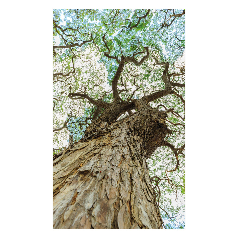 Duschrückwand nach maß