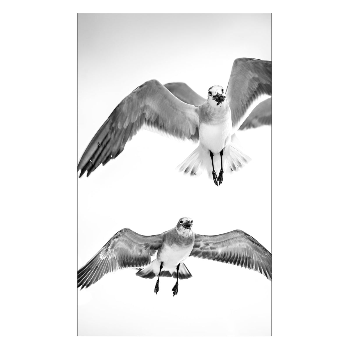 Duschrückwand nach maß