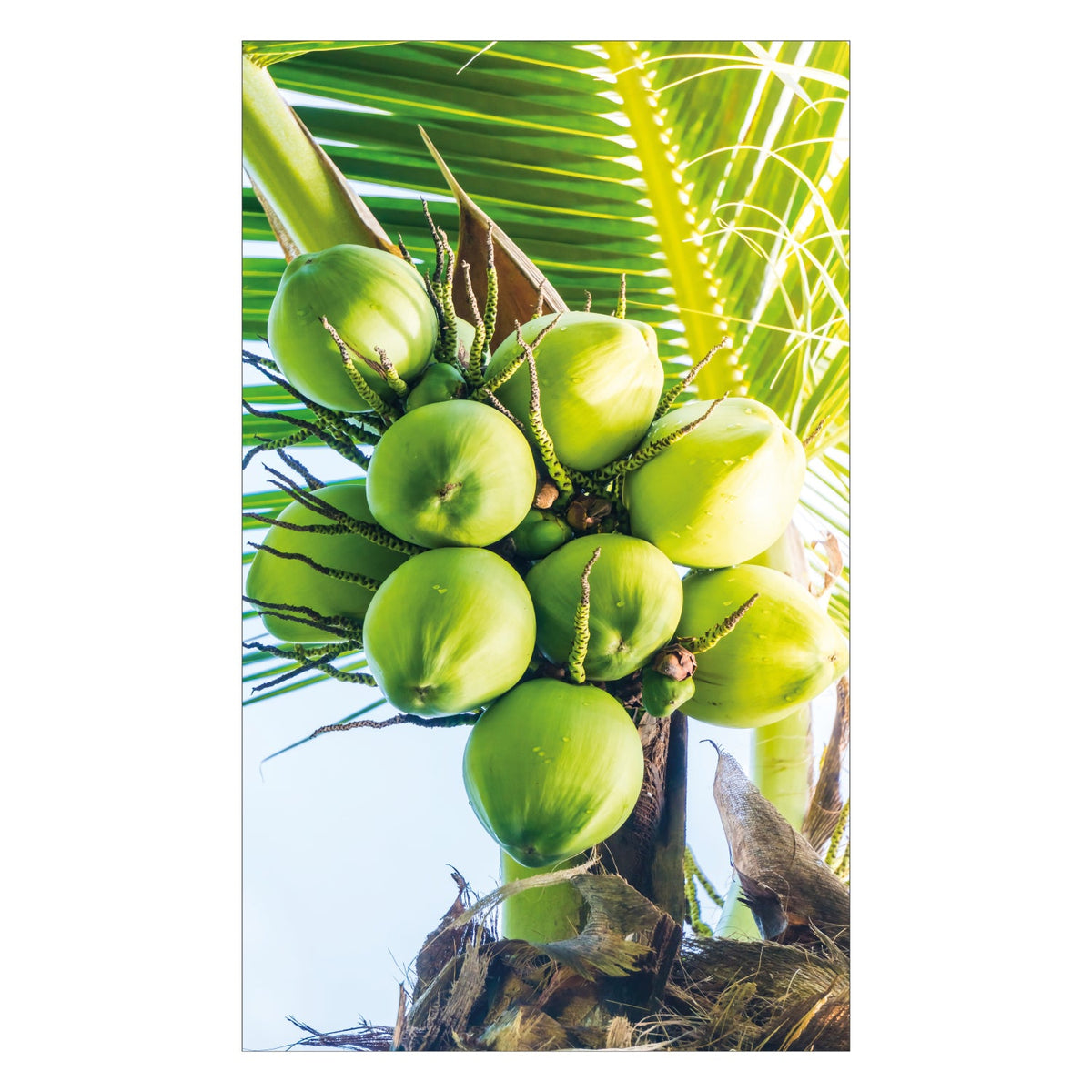 Duschrückwand nach maß