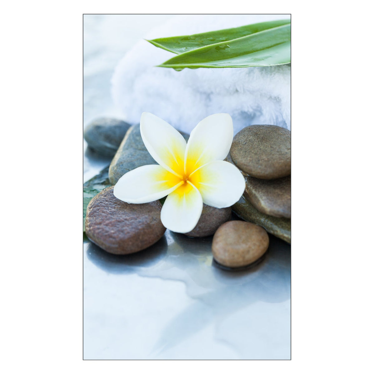 Toilettenrückwand nach maß