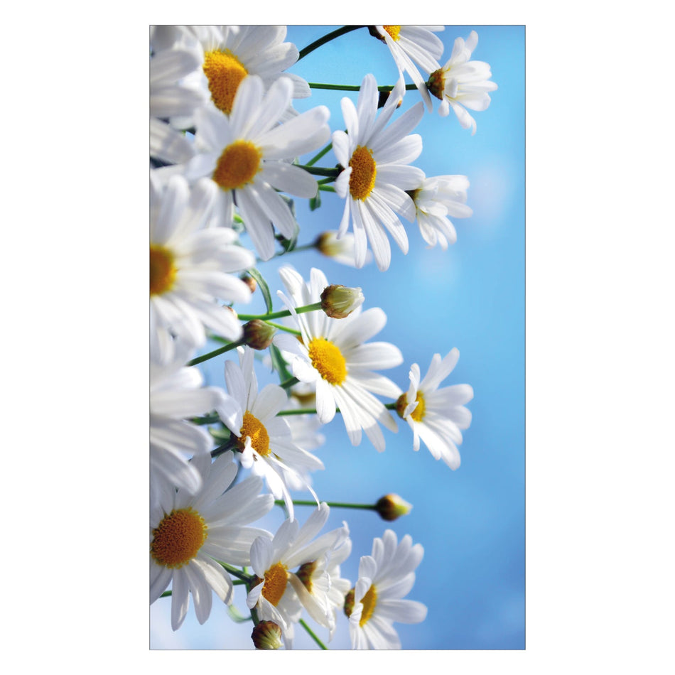 Toilettenrückwand nach maß