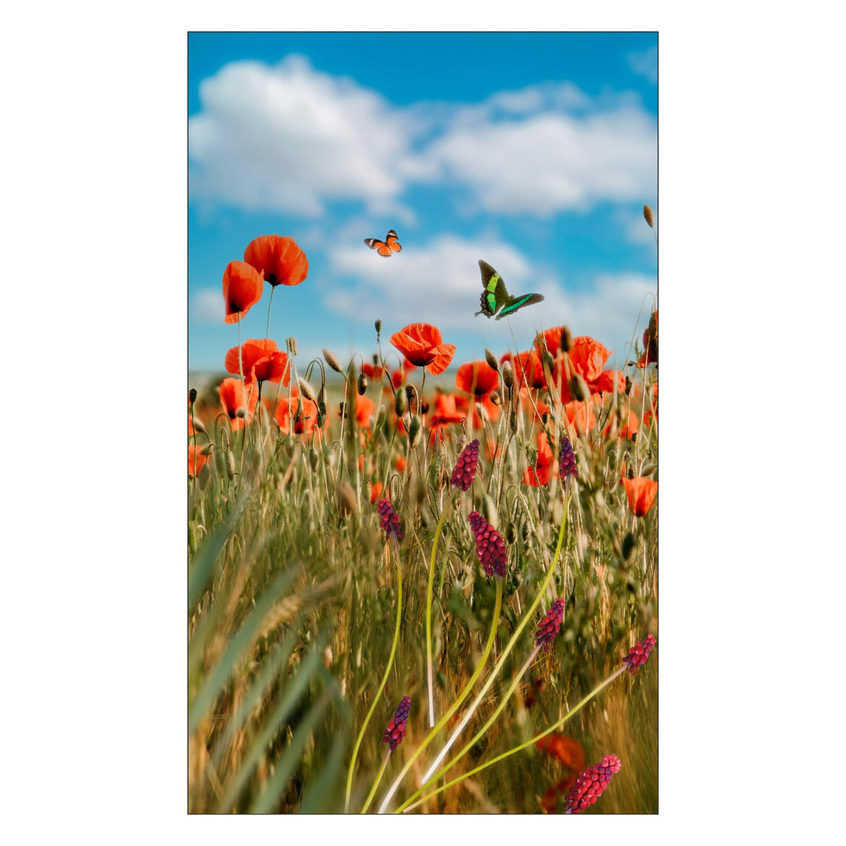 Toilettenrückwand nach maß