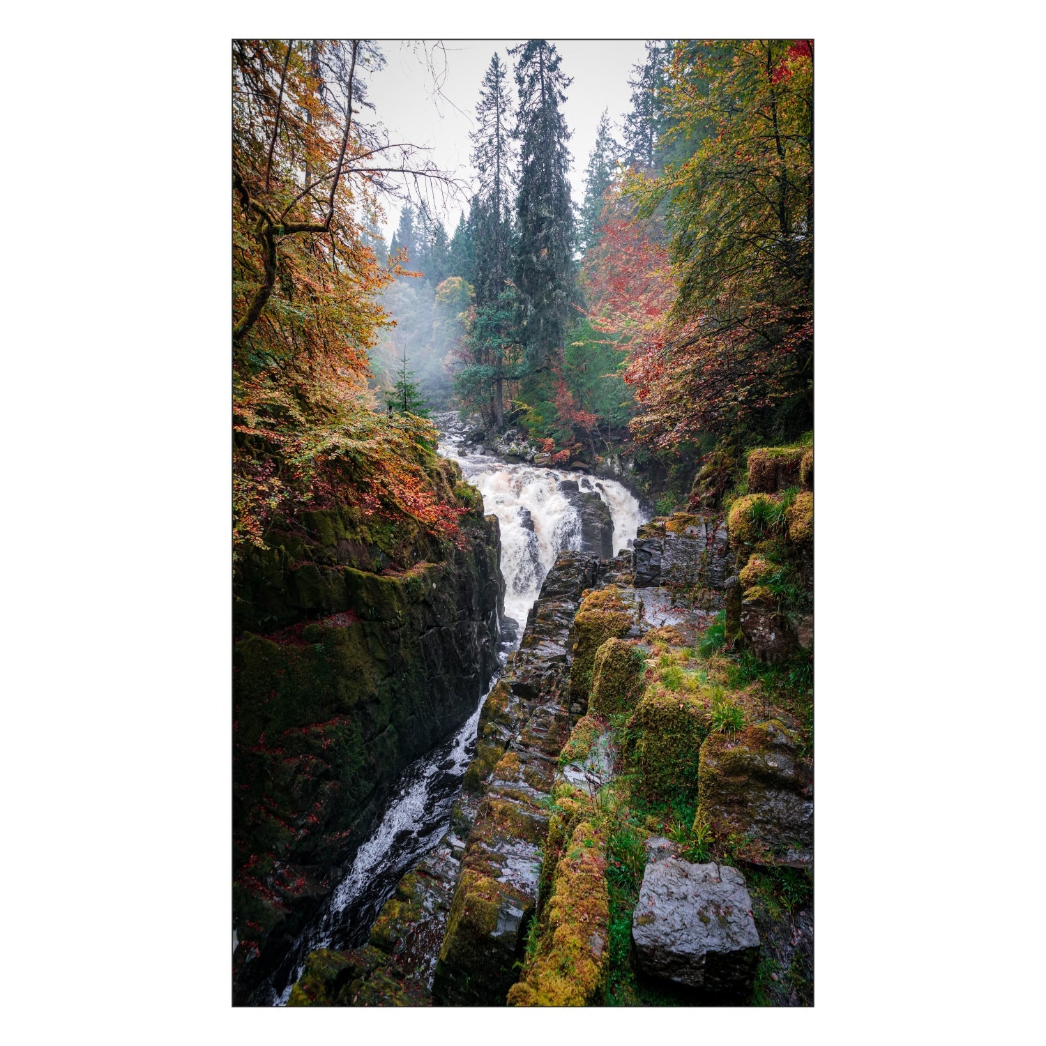 Toilettenrückwand nach maß