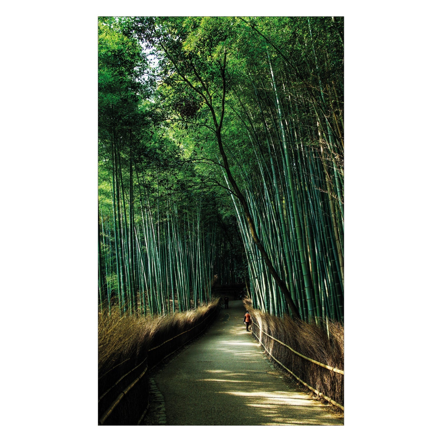 Duschrückwand nach maß