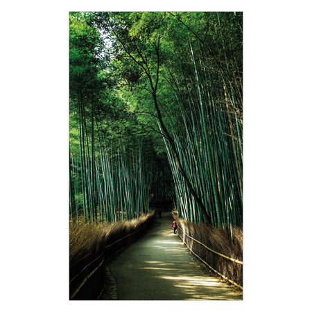 Duschrückwand nach maß