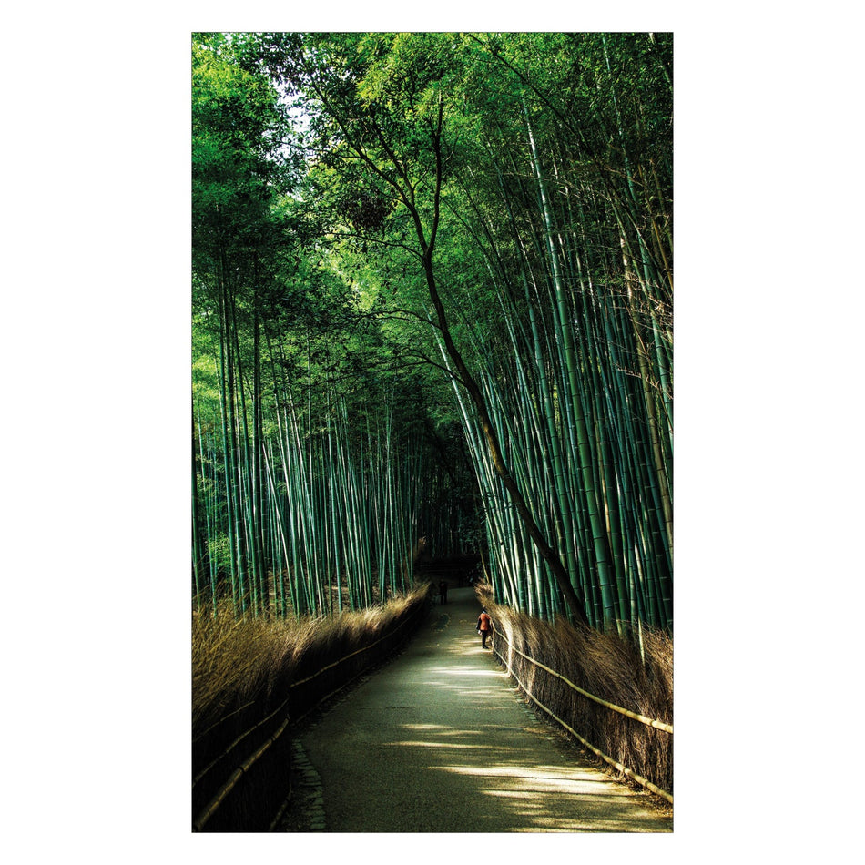 Duschrückwand nach maß