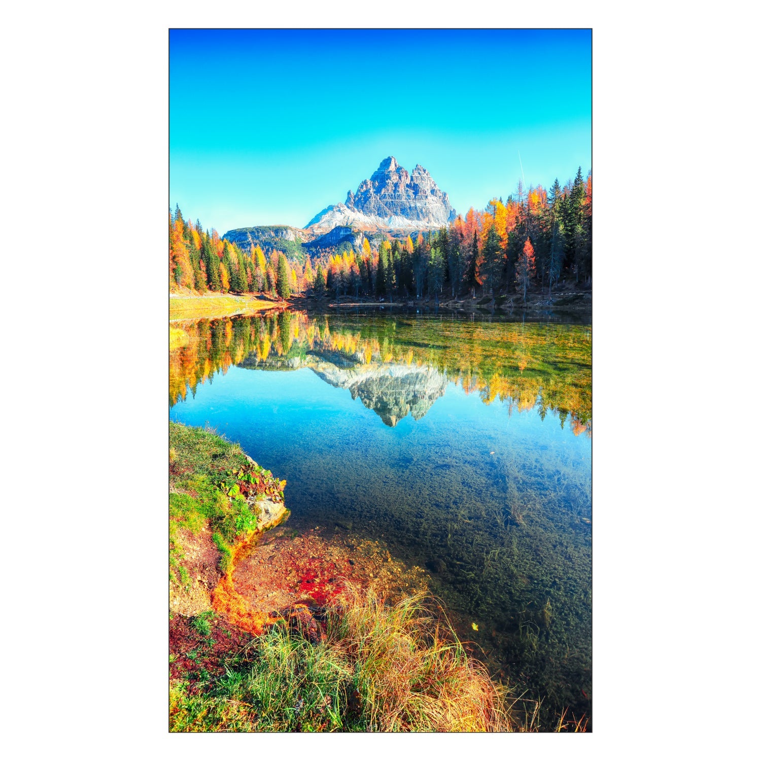 Toilettenrückwand nach maß