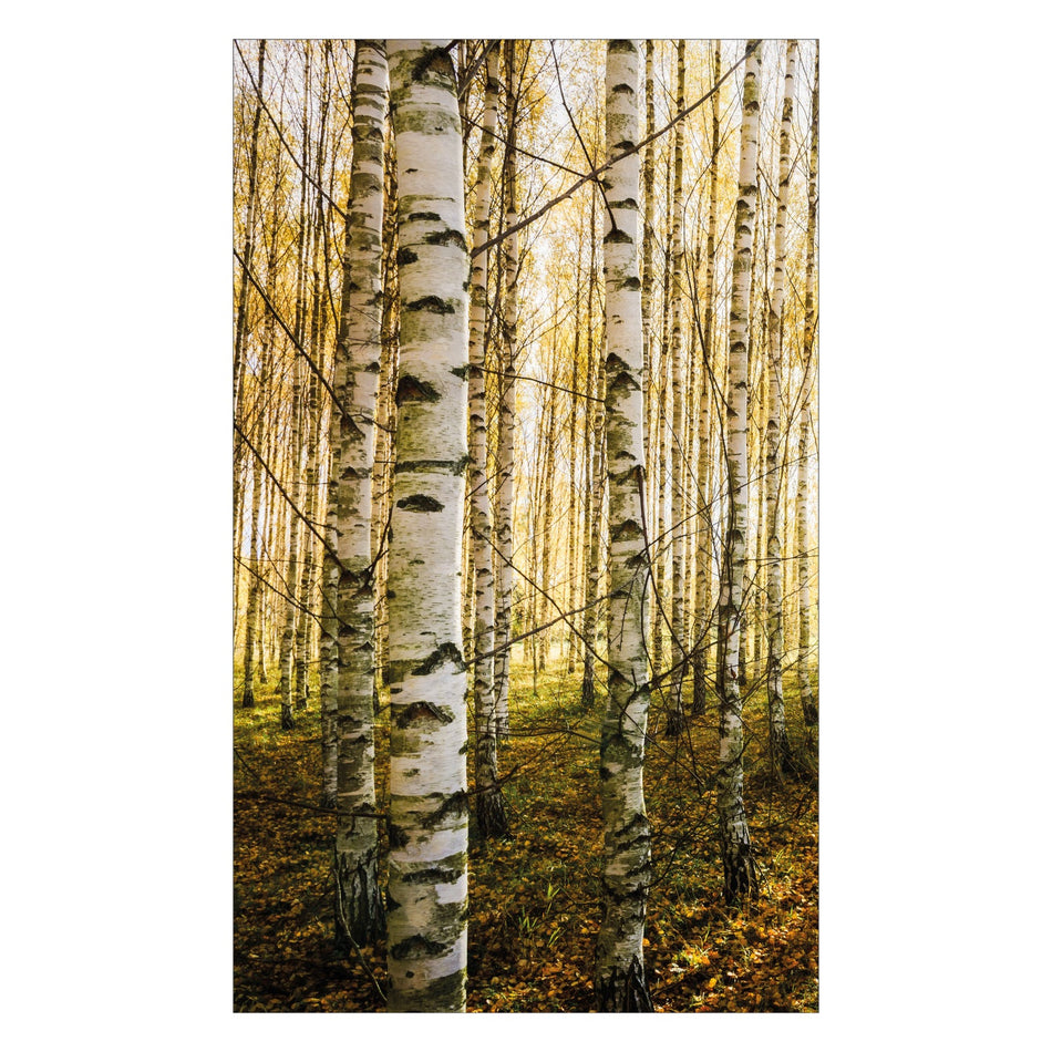 Duschrückwand nach maß