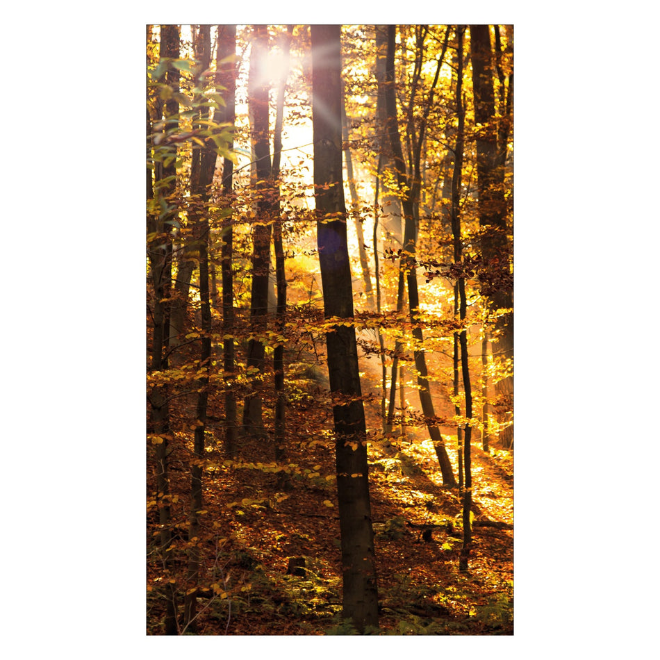 Duschrückwand nach maß