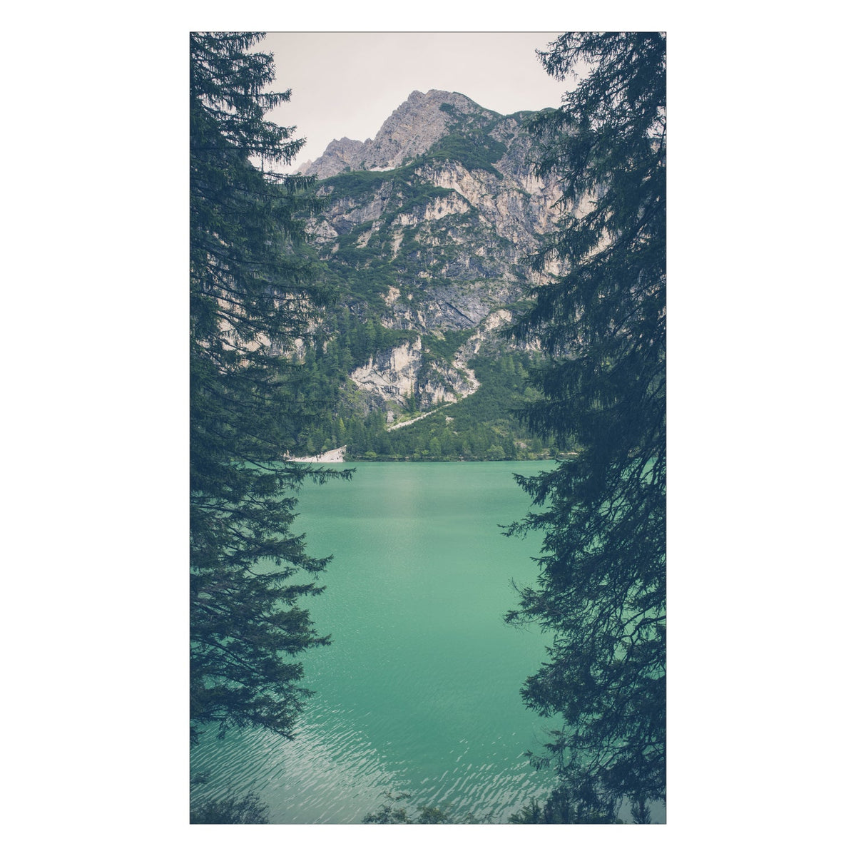 Duschrückwand nach maß