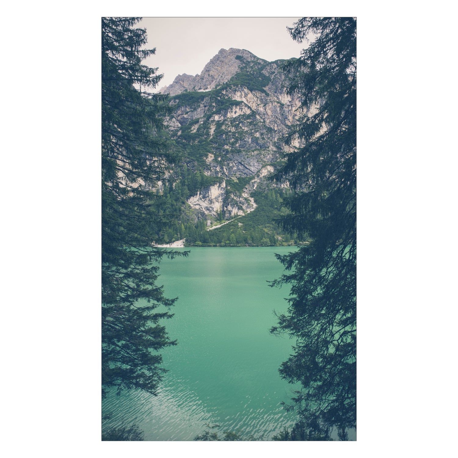 Duschrückwand nach maß