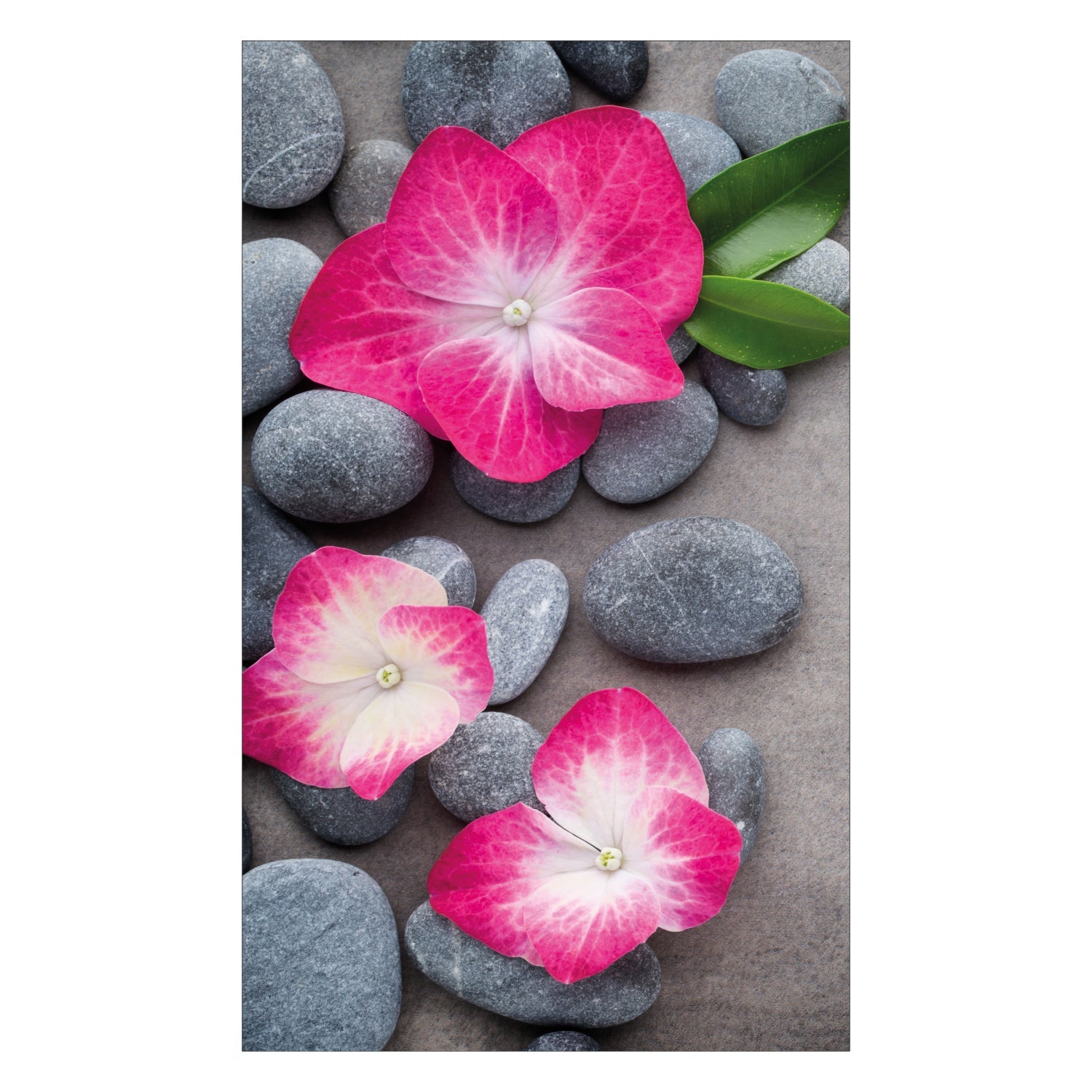 Duschrückwand nach maß