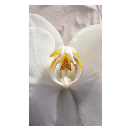 Duschrückwand nach maß