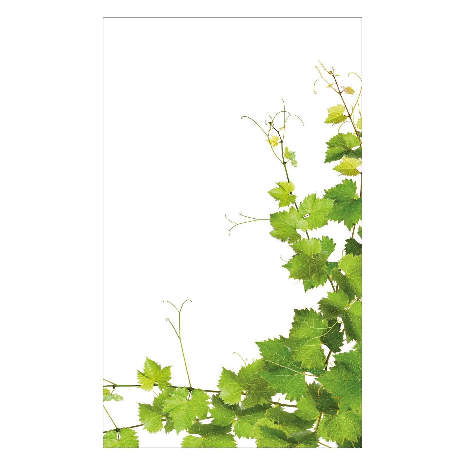 Duschrückwand nach maß