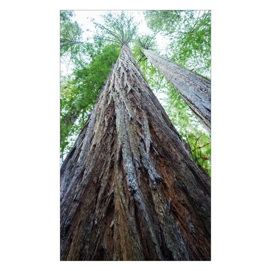 Duschrückwand nach maß