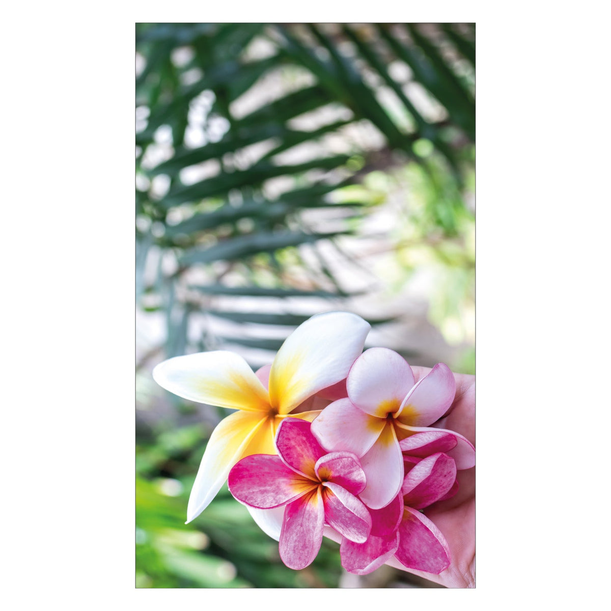 Duschrückwand nach maß