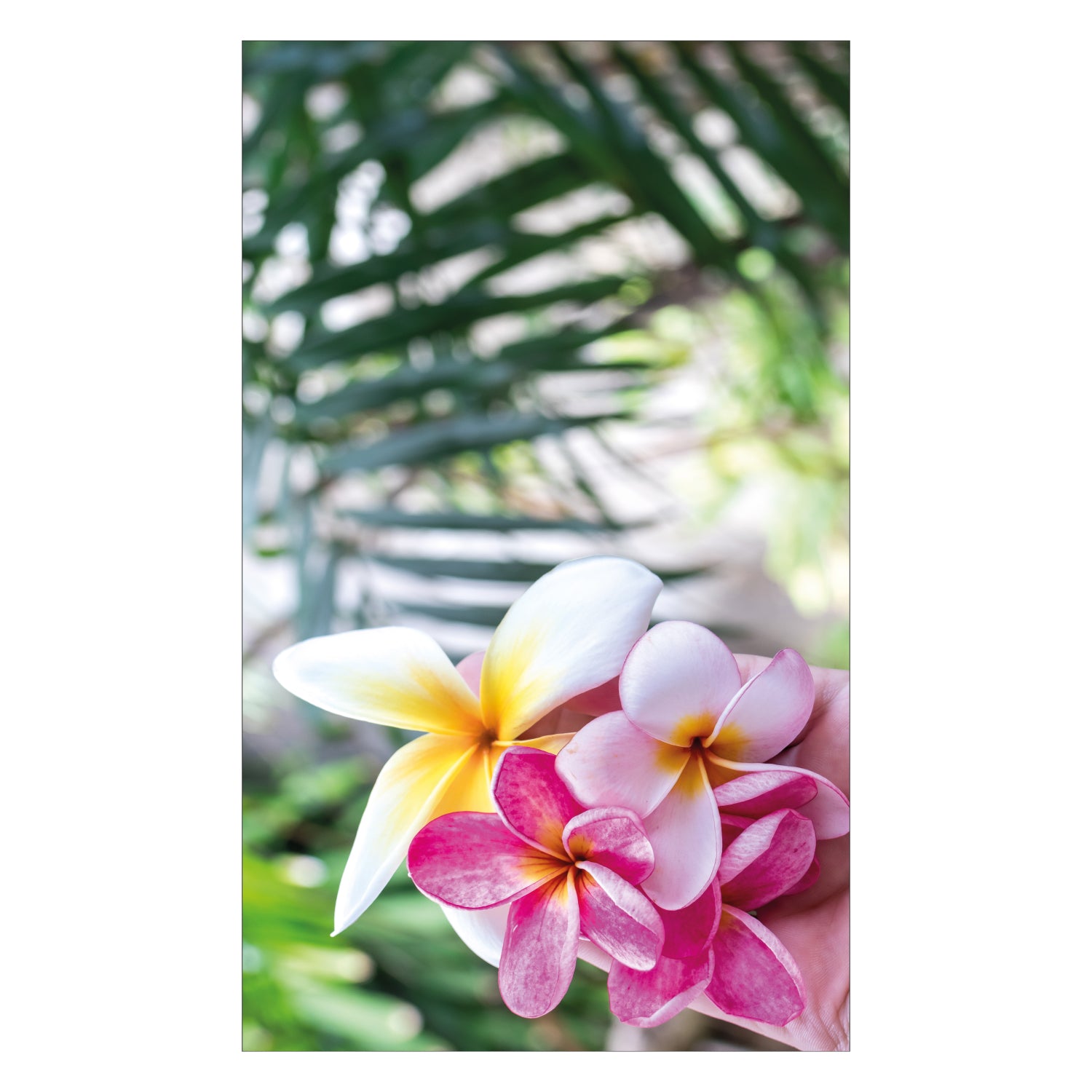 Duschrückwand nach maß