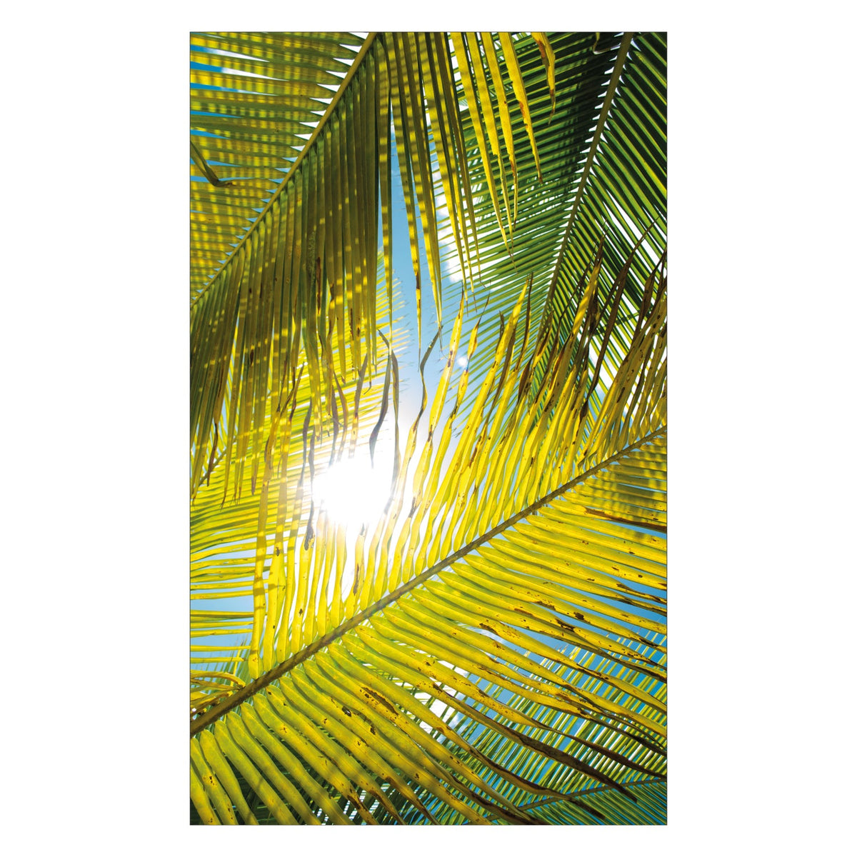 Duschrückwand nach maß