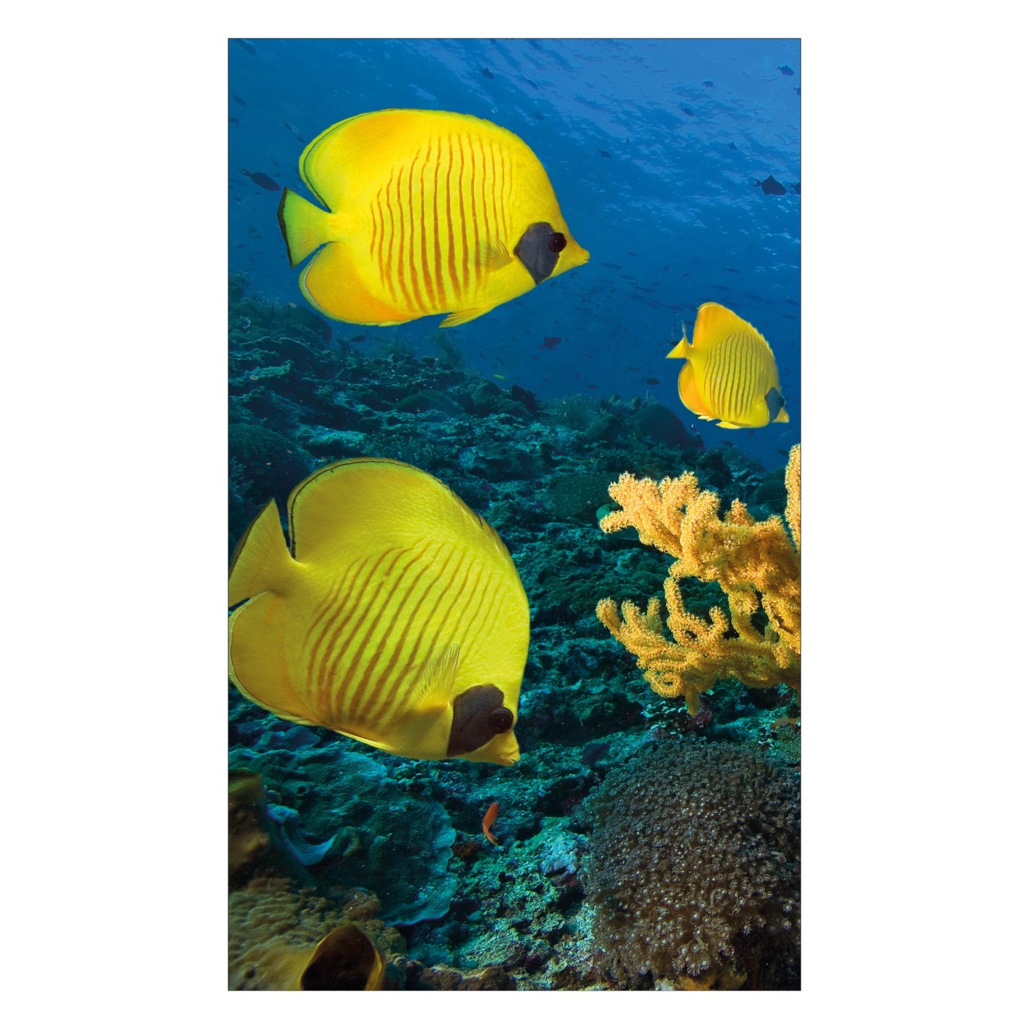 Duschrückwand nach maß