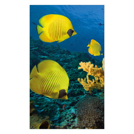 Duschrückwand nach maß